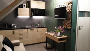 Apartament Natural ASD Studio